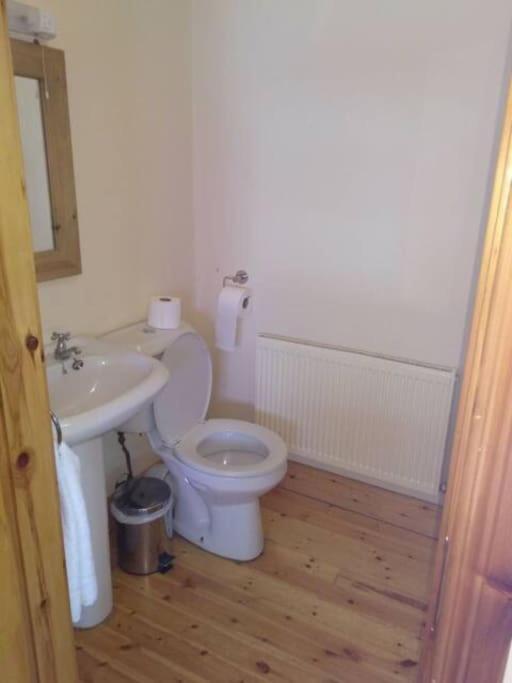 Townhouse 2 Barrow Lane Villa Carlow Bagian luar foto