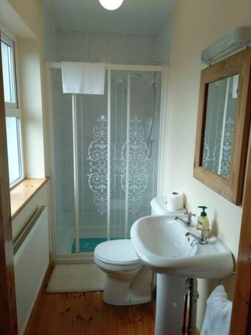 Townhouse 2 Barrow Lane Villa Carlow Bagian luar foto